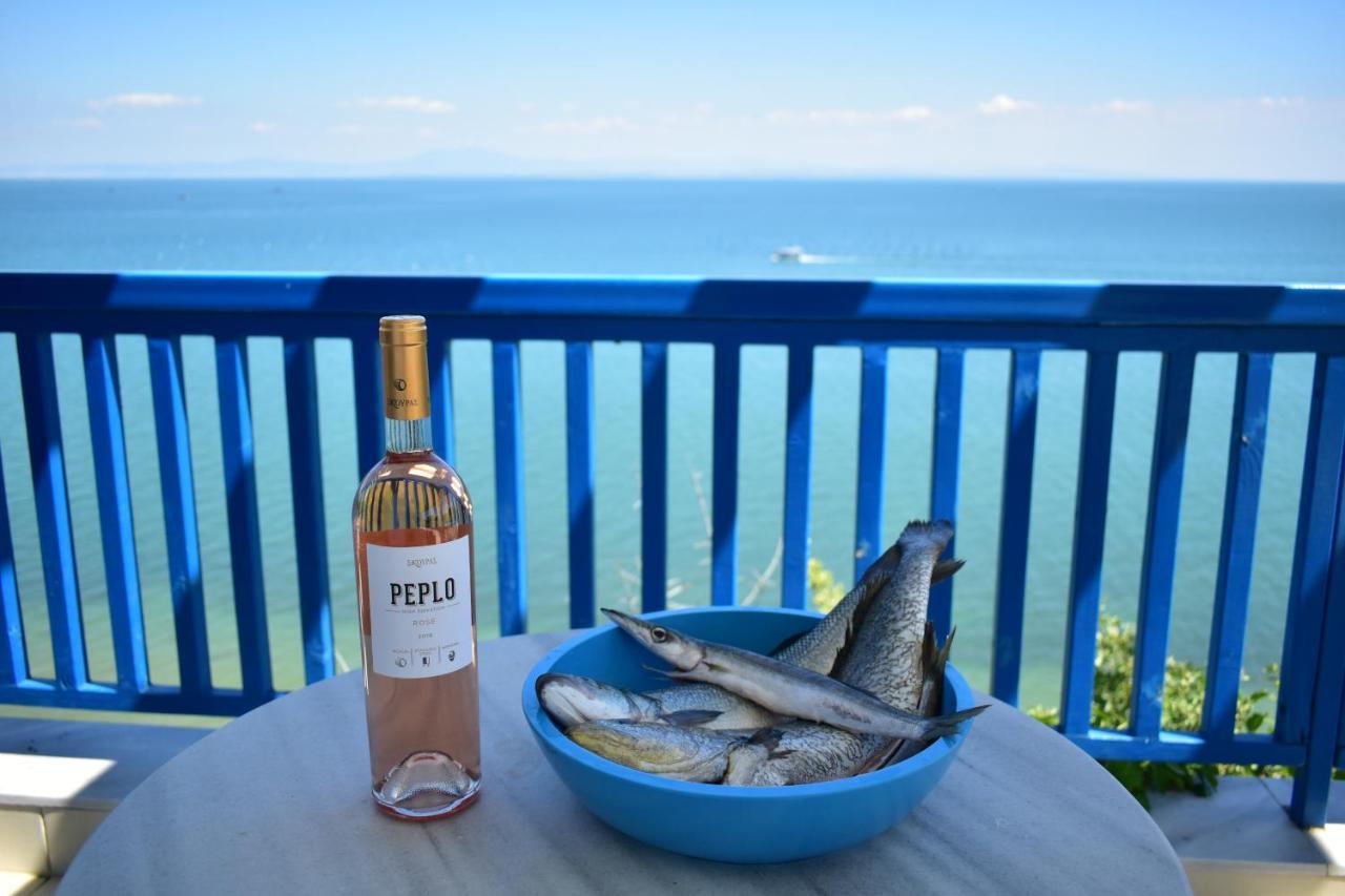 מקריגיאלוס Navy Greece Villa With Swimming Pool & Sea View מראה חיצוני תמונה